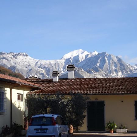 Merlo d'Oro Carrara Exterior foto